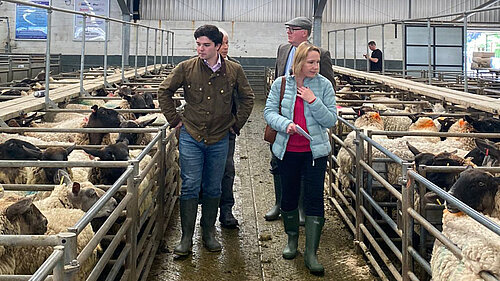 Helen at a local livestock market