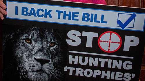 Helen holds a stop trophy hunting poster