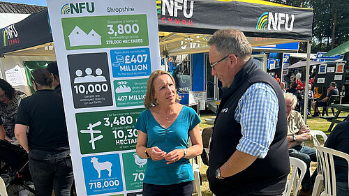 Helen at the Oswestry Show