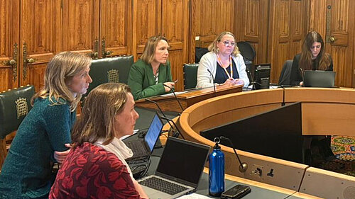 Helen chairing a Flooding APPG meeting in Parliament